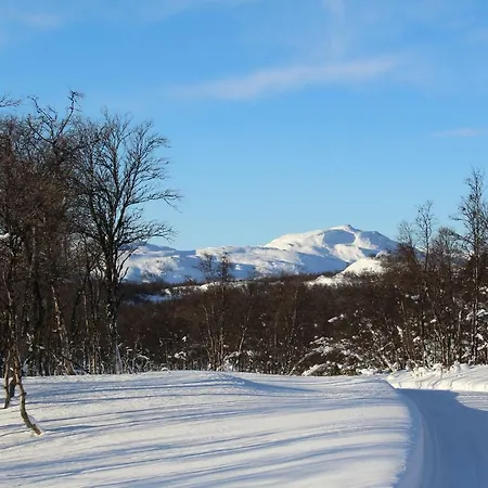 Lev-vel - 10 Person *